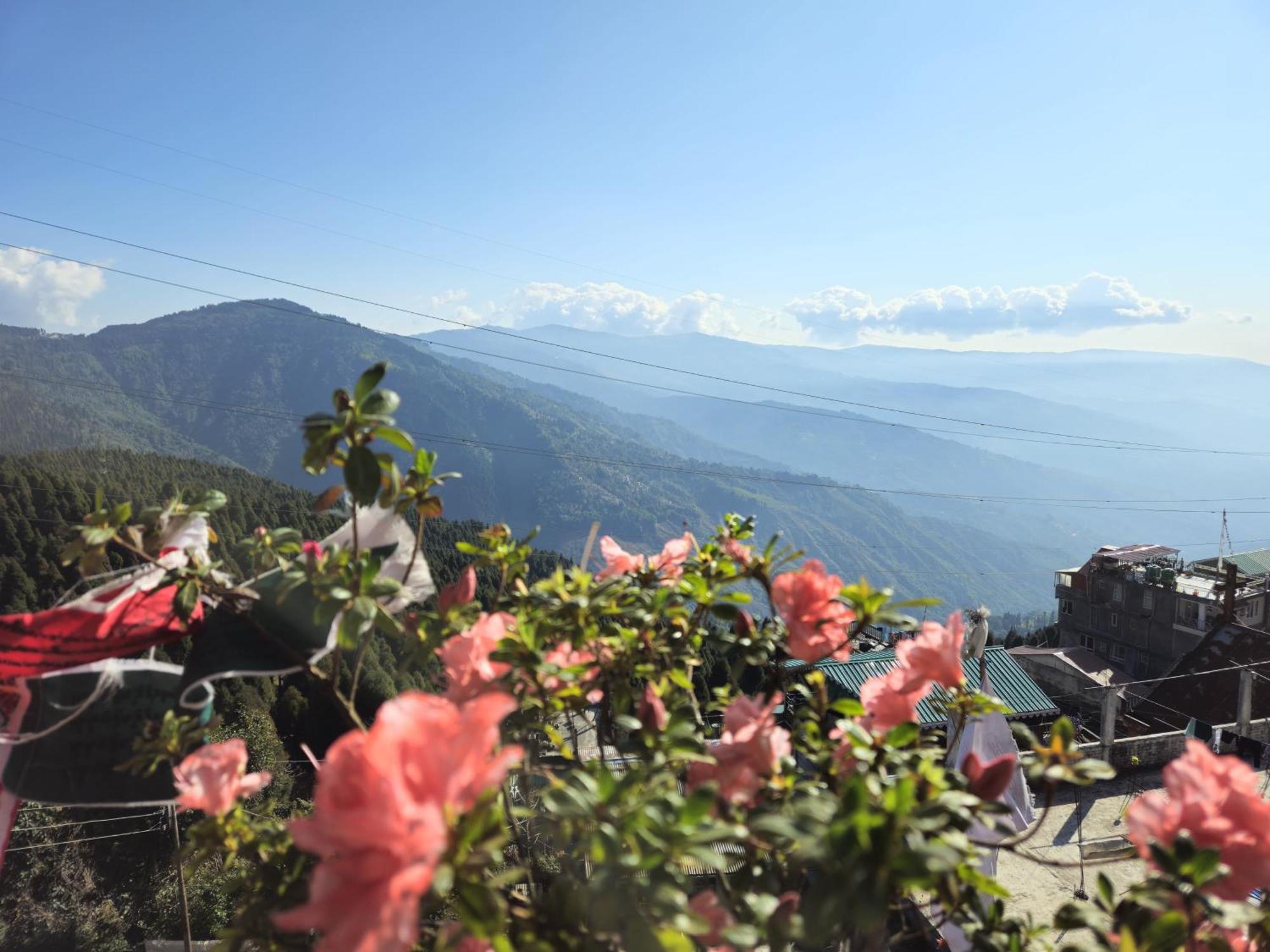 Lama Homestay Darjeeling  Dış mekan fotoğraf