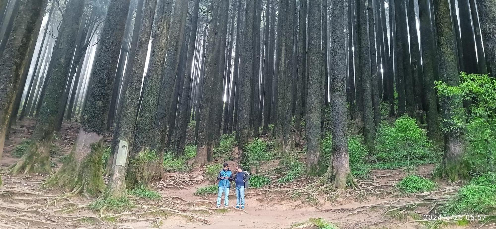 Lama Homestay Darjeeling  Dış mekan fotoğraf